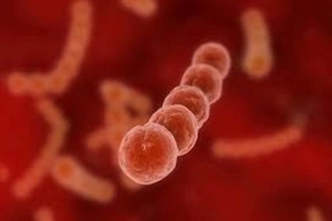 Liên cầu khuẩn nhóm B ảnh hưởng thai phụ và em bé như thế nào?