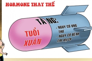 Liệu pháp hormone thời kỳ mãn kinh và sự liên quan đến bệnh tim