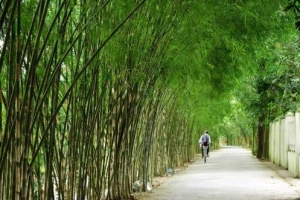 Lưu ý khi phượt xe máy ở miền Tây mùa nước nổi