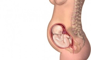 Mẹ bầu bị nhau bám mặt sau là sao?
