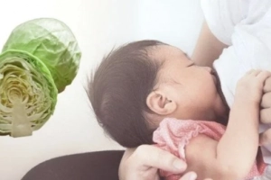 Mẹ sau sinh ăn bắp cải được không?