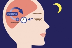 Melatonin ảnh hưởng thế nào đến giấc ngủ?