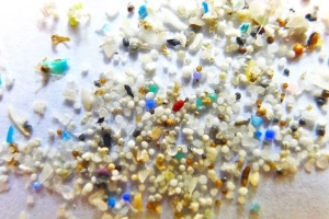 Microplastics là gì và chúng ta giảm thiểu chúng như thế nào?