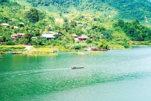 Miên man bản Chiếu