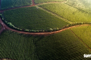 Mở mắt thấy thiên đường Bảo Lộc
