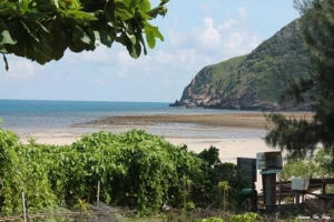 Một đêm thăm rùa đẻ trứng ở Côn Đảo