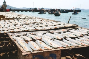 Một ngày bình thường ở Nam Du
