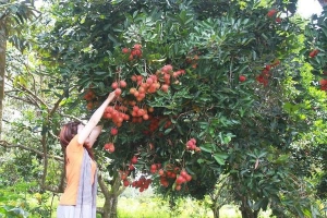 Một ngày du ngoạn thị xã Long Khánh