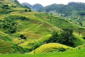 Mù Cang Chải những ngày mùa tháng 9