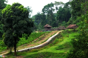 Mùa hè về thiên đường sinh thái Măng Đen