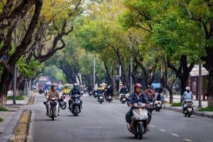 Mùa lá phượng bay cuối thu ở Huế