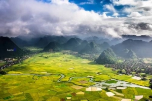 Mùa săn lúa cuối năm trên khắp Việt Nam