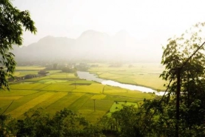 Mùa vàng ở thung lũng Bắc Sơn