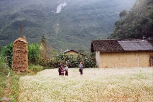 Nắng dát vàng Hà Giang những ngày đầu đông