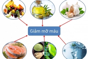 Nên ăn gì để giảm mỡ máu?