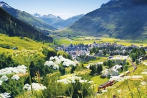 Ngắm hoa xuân trên núi Alps