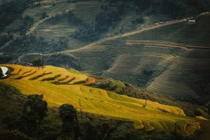 Ngắm vẻ đẹp mê hoặc của cao nguyên đá Đồng Văn