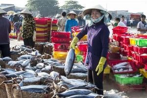 Ngắm vẻ sống động của cảng cá Long Hải trên báo mạng quốc tế
