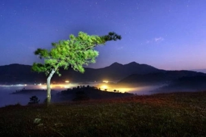 Ngất ngây trên đỉnh đồi Thiên Phúc Đức - Đà Lạt