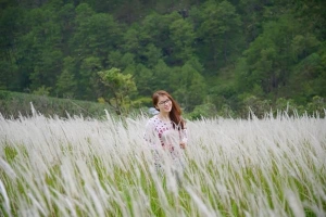 Ngất ngây với cánh đồng cỏ lau trắng ở Đà Lạt