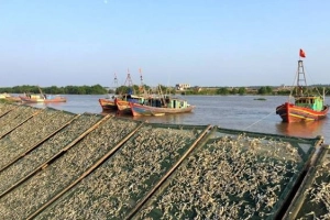 Ngày nắng ở Diêm Điền