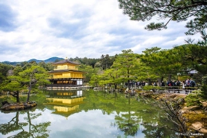 Ngôi chùa dát vàng độc đáo ở Kyoto