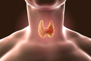 Người bị nhân thùy tuyến giáp có cần làm xét nghiệm tế bào FNA không?
