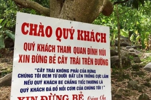 Người dân núi Bà Đen bức xúc vì du khách phá cây, hái trái