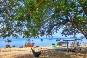 Ngút ngàn màu xanh trên cung đường biển Nha Trang - Tuy Hòa