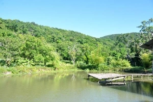 Nhất Lâm Thủy Trang Trà - Chốn bình yên giữa lòng bán đảo Sơn Trà