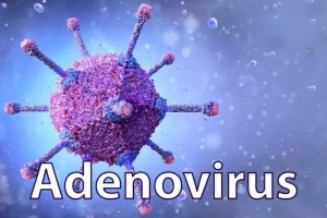 Nhiễm adenovirus: Khi nào nên đi khám?