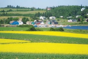 Những cái nhất thế giới ở New Brunswick