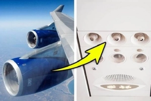 Những chi tiết có thể cứu mạng hành khách trên máy bay