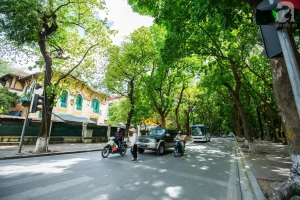Những con đường rợp bóng cây - khoảng xanh mát dịu giữa &#8220;chảo lửa&#8221; Hà Nội
