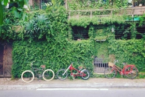 Những con phố tên hoa ở Hà Nội