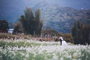 Những điểm chụp ảnh cưới đẹp như mơ ở Việt Nam