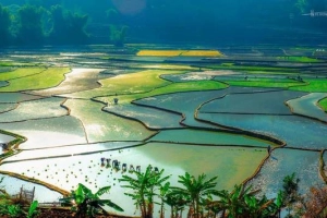 Những điểm đến đẹp nhất Lai Châu