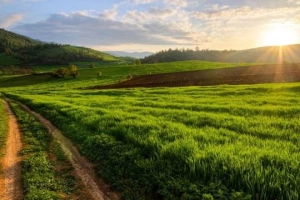Những điểm du lịch đẹp nhất Iran