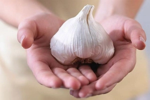 Những điều bạn cần biết khi ăn tỏi và sử dụng tỏi