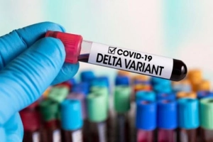 Những điều bạn cần biết về biến chủng Delta của virus SARS-CoV 2