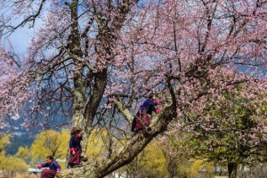 Những điều cần biết cho người dự định du lịch Bhutan