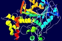 Những điều cần biết về Choline