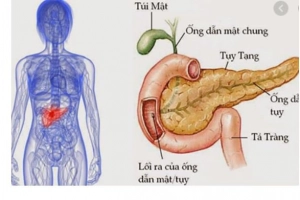 Những điều cần biết về suy tuyến tụy ngoại tiết