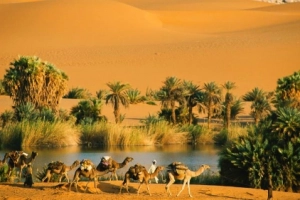 Những điều kỳ lạ từng xảy ra trên sa mạc Sahara