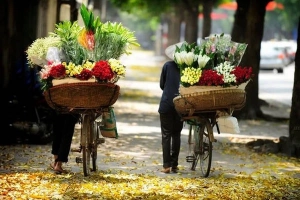 Những điều muốn làm ngay khi gió lạnh đầu mùa