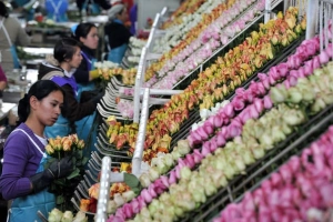 Những điều nên biết trước khi du lịch Ecuador