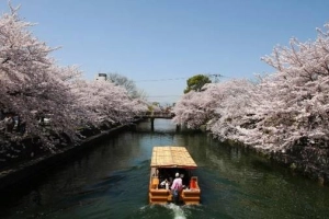 Những điều tuyệt vời nhất của du lịch Kyoto
