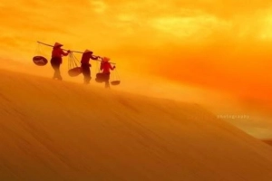 Những đồi cát đẹp hút hồn của du lịch Việt Nam