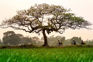 Những góc nhỏ tuyệt đẹp của Hà Nội