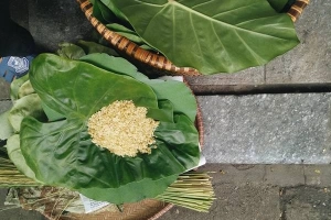 Những khoảnh khắc Hà Nội bình dị ngày thu